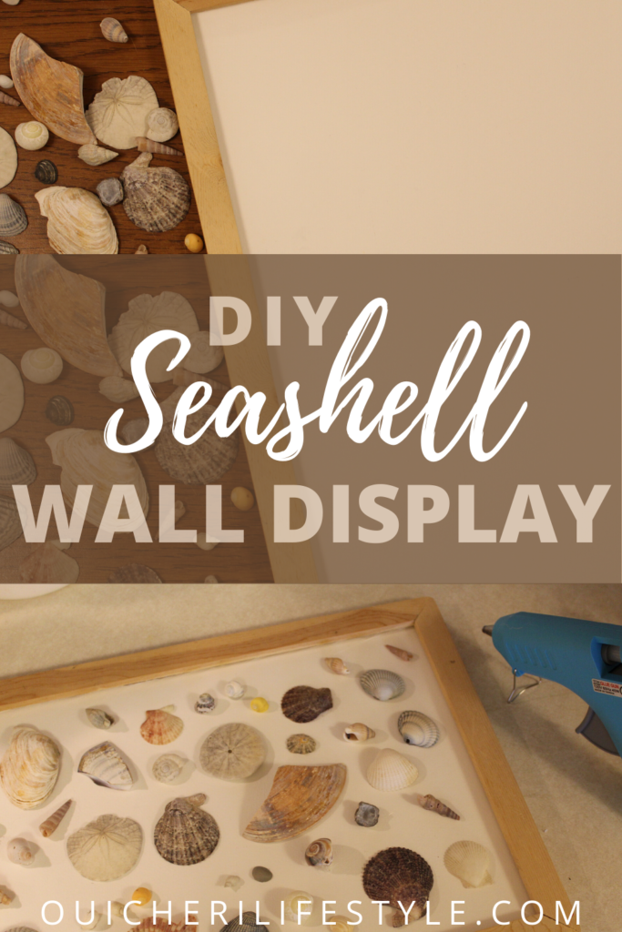 DIY Seashell Wall Art Craft- DIY Nature Display