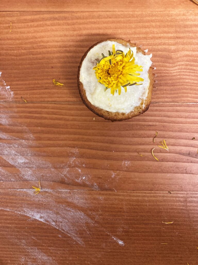 edible dandelion foraging cupcakes