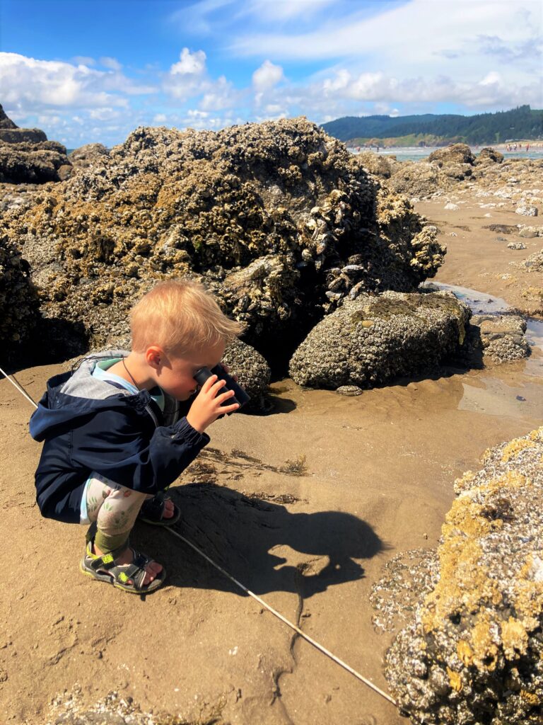 pacific northwest with a toddler